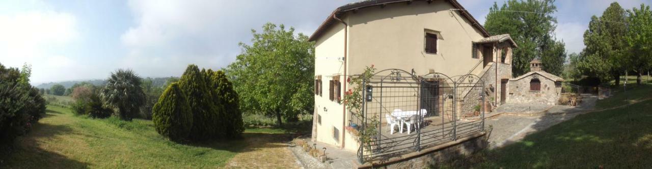 Civitella dʼAgliano La Casetta Dei Gelsi מראה חיצוני תמונה